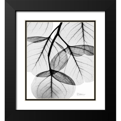 Silver Age Eucalyptus Black Modern Wood Framed Art Print with Double Matting by Koetsier, Albert