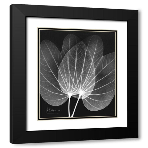 Extravagant Orchid Tree Black Modern Wood Framed Art Print with Double Matting by Koetsier, Albert