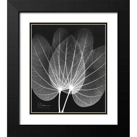 Extravagant Orchid Tree Black Modern Wood Framed Art Print with Double Matting by Koetsier, Albert