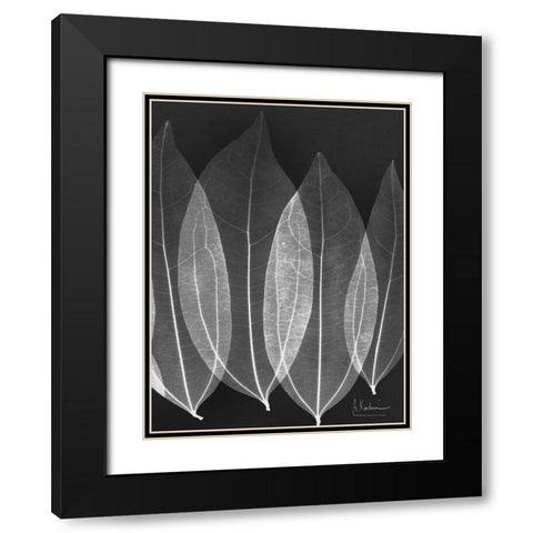 Extravagant Bo Tree Black Modern Wood Framed Art Print with Double Matting by Koetsier, Albert