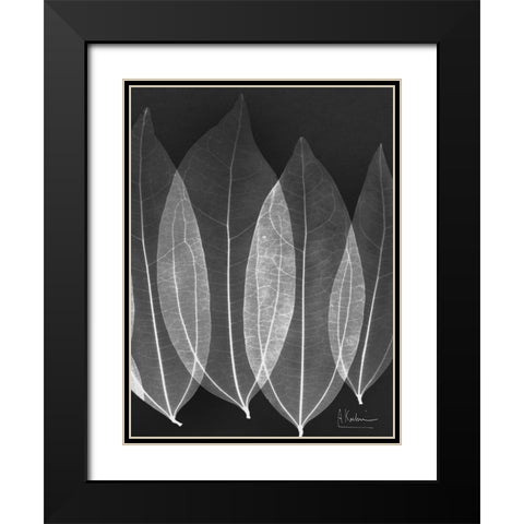Extravagant Bo Tree Black Modern Wood Framed Art Print with Double Matting by Koetsier, Albert