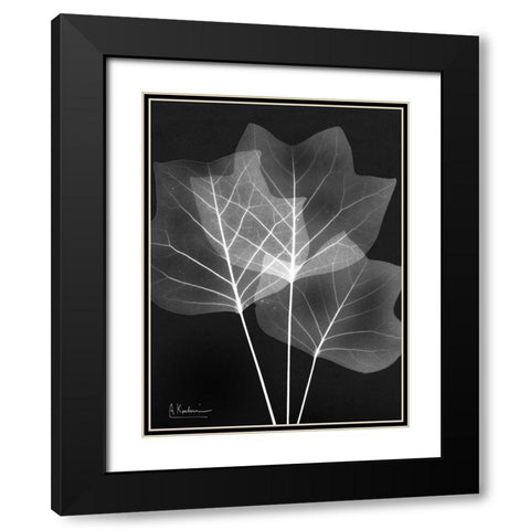 Extravagant Tulip Tree Black Modern Wood Framed Art Print with Double Matting by Koetsier, Albert