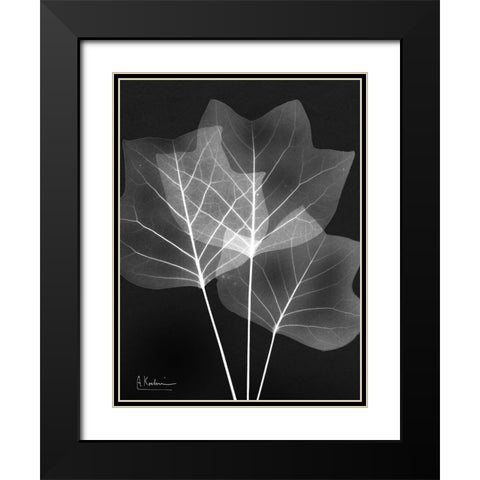 Extravagant Tulip Tree Black Modern Wood Framed Art Print with Double Matting by Koetsier, Albert