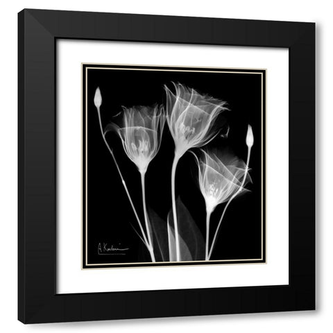 Gentle Gentian Black Modern Wood Framed Art Print with Double Matting by Koetsier, Albert