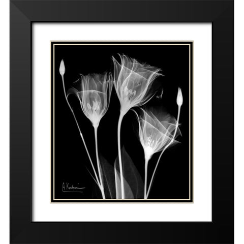 Gentle Gentian Black Modern Wood Framed Art Print with Double Matting by Koetsier, Albert