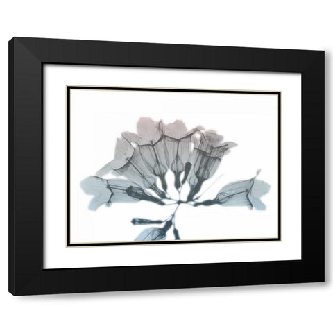 Blooming Jacaranoa Black Modern Wood Framed Art Print with Double Matting by Koetsier, Albert