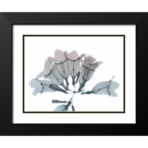 Blooming Jacaranoa Black Modern Wood Framed Art Print with Double Matting by Koetsier, Albert