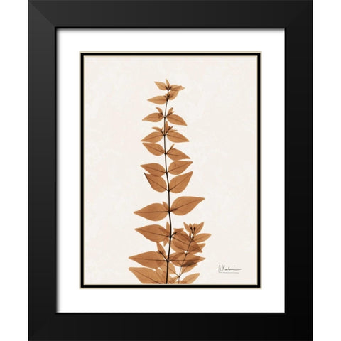 Aged Abelia Black Modern Wood Framed Art Print with Double Matting by Koetsier, Albert