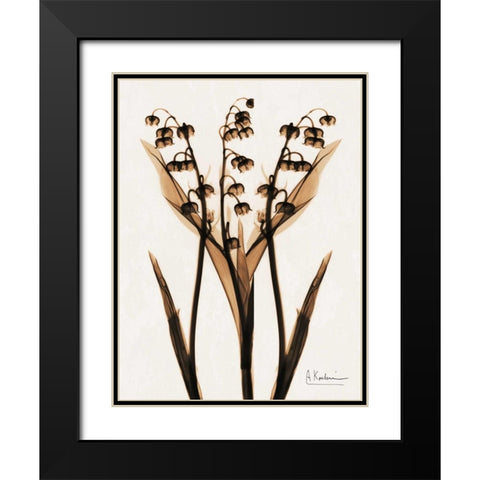 ged Lily Of The Valley Black Modern Wood Framed Art Print with Double Matting by Koetsier, Albert