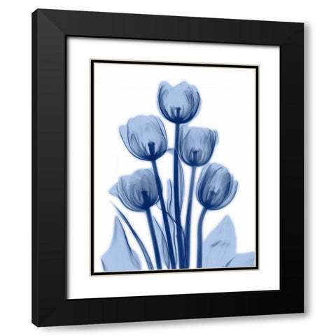 Indigo Spring Tulips 2 Black Modern Wood Framed Art Print with Double Matting by Koetsier, Albert