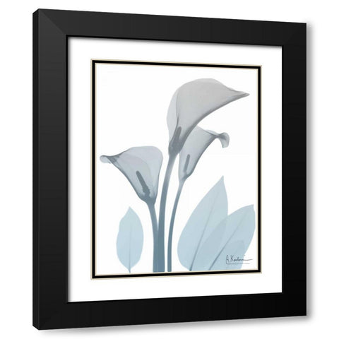 Serene Calla Lily Black Modern Wood Framed Art Print with Double Matting by Koetsier, Albert