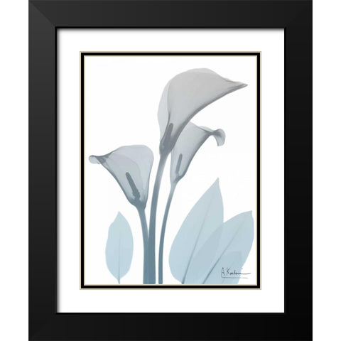 Serene Calla Lily Black Modern Wood Framed Art Print with Double Matting by Koetsier, Albert