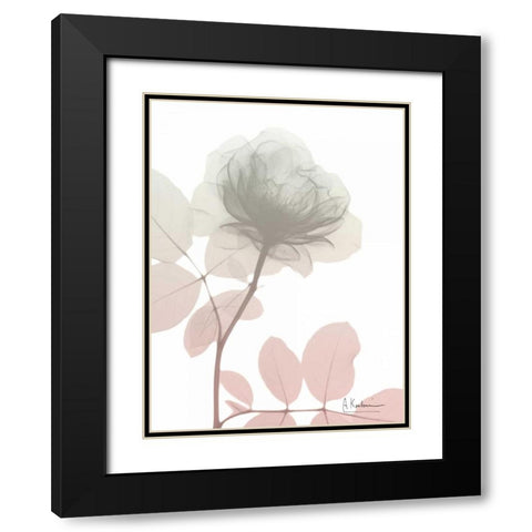 Serenity Rose Black Modern Wood Framed Art Print with Double Matting by Koetsier, Albert