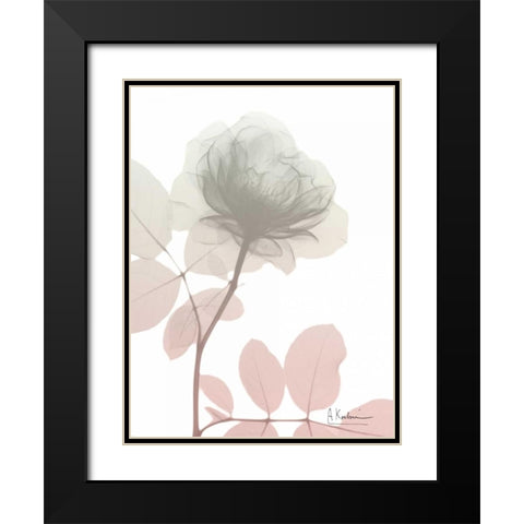 Serenity Rose Black Modern Wood Framed Art Print with Double Matting by Koetsier, Albert