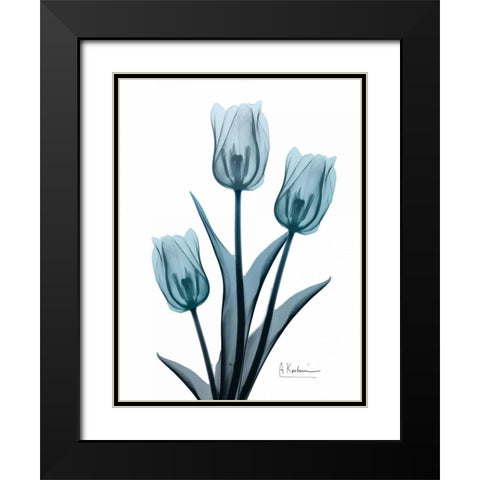 Midnight Sky Tulip Trio 2 Black Modern Wood Framed Art Print with Double Matting by Koetsier, Albert