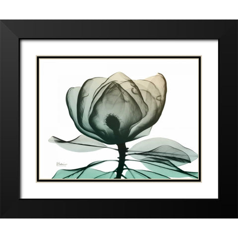 Emerald Magnolia 1 Black Modern Wood Framed Art Print with Double Matting by Koetsier, Albert