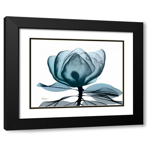 Midnight Magnolia 1 Black Modern Wood Framed Art Print with Double Matting by Koetsier, Albert