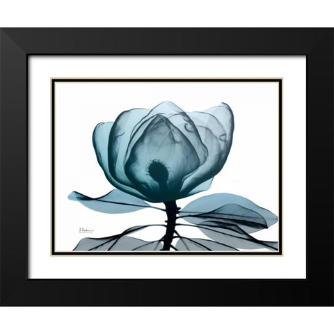 Midnight Magnolia 1 Black Modern Wood Framed Art Print with Double Matting by Koetsier, Albert