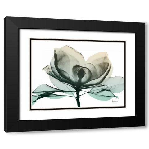 Emerald Magnolia 2 Black Modern Wood Framed Art Print with Double Matting by Koetsier, Albert