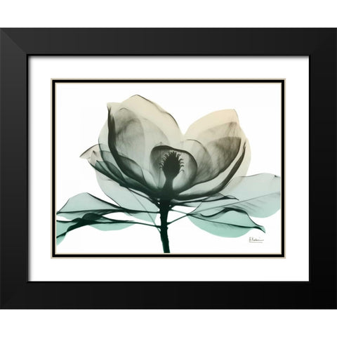 Emerald Magnolia 2 Black Modern Wood Framed Art Print with Double Matting by Koetsier, Albert