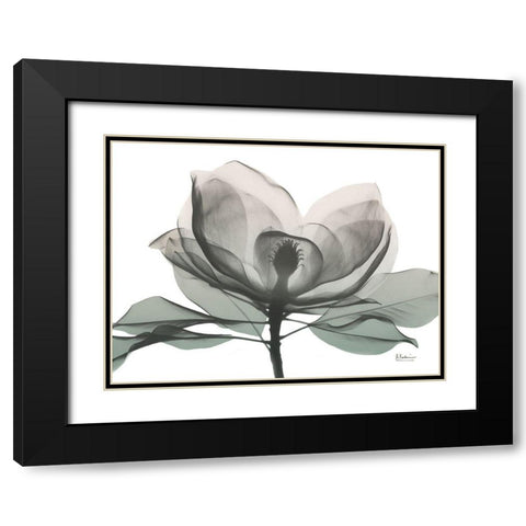Sage Magnolia 1 Black Modern Wood Framed Art Print with Double Matting by Koetsier, Albert