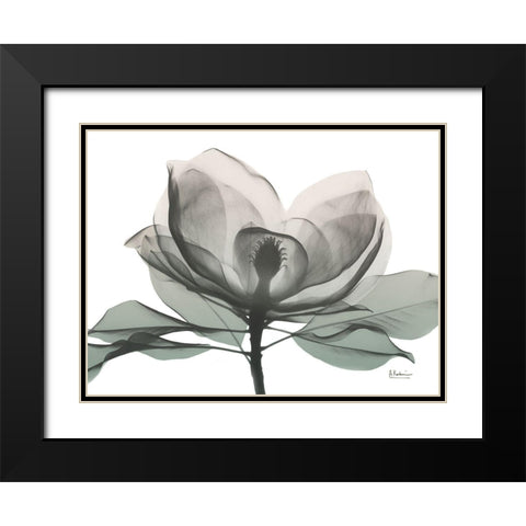 Sage Magnolia 1 Black Modern Wood Framed Art Print with Double Matting by Koetsier, Albert