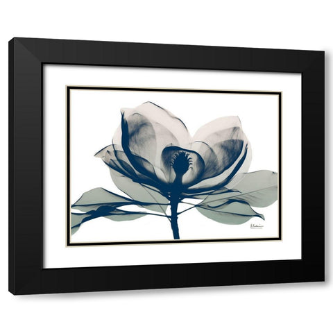 Blue Ranged Magnolia 1 Black Modern Wood Framed Art Print with Double Matting by Koetsier, Albert