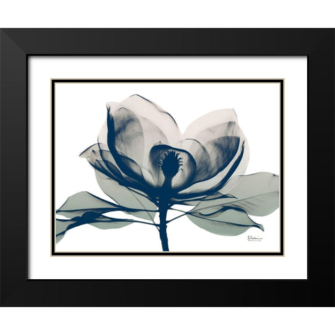 Blue Ranged Magnolia 1 Black Modern Wood Framed Art Print with Double Matting by Koetsier, Albert