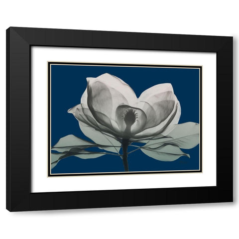 Navy Magnolia 1 Black Modern Wood Framed Art Print with Double Matting by Koetsier, Albert