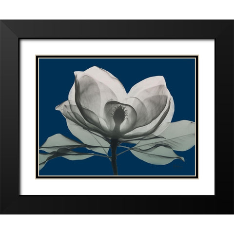 Navy Magnolia 1 Black Modern Wood Framed Art Print with Double Matting by Koetsier, Albert