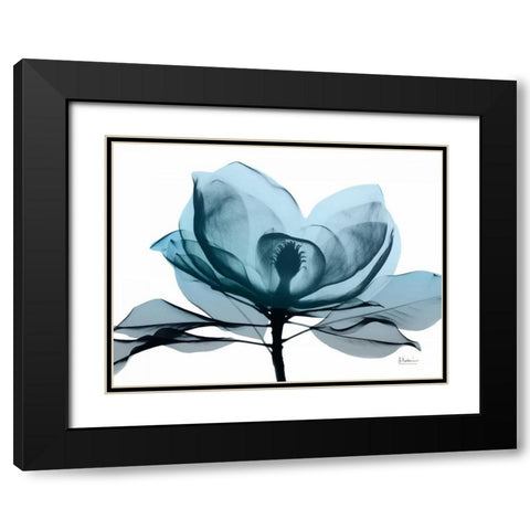 Midnight Magnolia 2 Black Modern Wood Framed Art Print with Double Matting by Koetsier, Albert