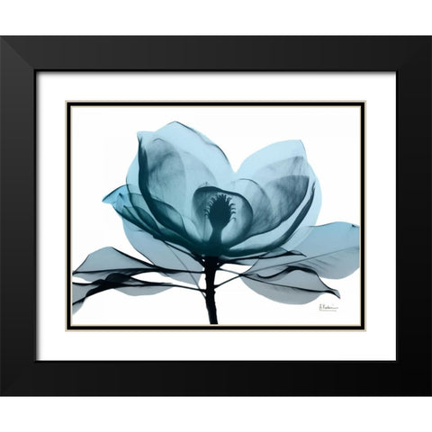 Midnight Magnolia 2 Black Modern Wood Framed Art Print with Double Matting by Koetsier, Albert