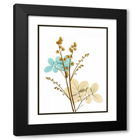 Desert Bloom 1 Black Modern Wood Framed Art Print with Double Matting by Koetsier, Albert