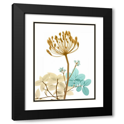 Desert Bloom 2 Black Modern Wood Framed Art Print with Double Matting by Koetsier, Albert