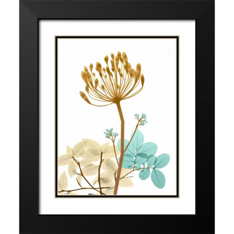 Desert Bloom 2 Black Modern Wood Framed Art Print with Double Matting by Koetsier, Albert