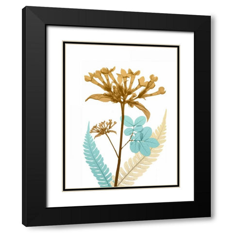 Desert Bloom 3 Black Modern Wood Framed Art Print with Double Matting by Koetsier, Albert