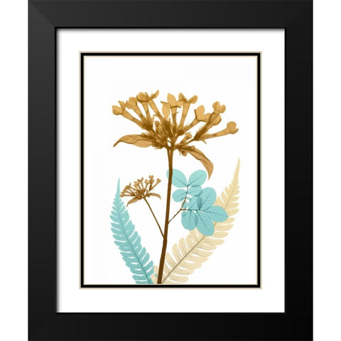 Desert Bloom 3 Black Modern Wood Framed Art Print with Double Matting by Koetsier, Albert