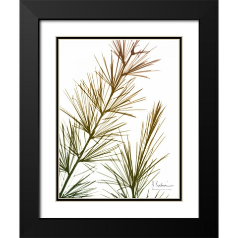 Autumn Sequoia Black Modern Wood Framed Art Print with Double Matting by Koetsier, Albert