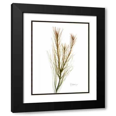 Autumn Botanical Black Modern Wood Framed Art Print with Double Matting by Koetsier, Albert