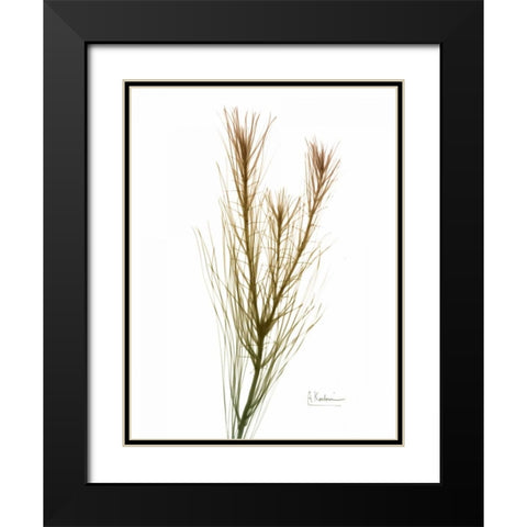 Autumn Botanical Black Modern Wood Framed Art Print with Double Matting by Koetsier, Albert