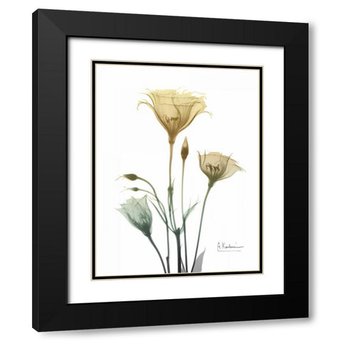 Ocre Bloom 1 Black Modern Wood Framed Art Print with Double Matting by Koetsier, Albert