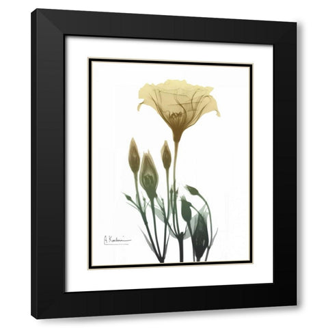 Ocre Bloom 2 Black Modern Wood Framed Art Print with Double Matting by Koetsier, Albert