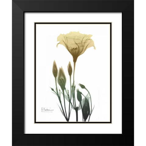 Ocre Bloom 2 Black Modern Wood Framed Art Print with Double Matting by Koetsier, Albert