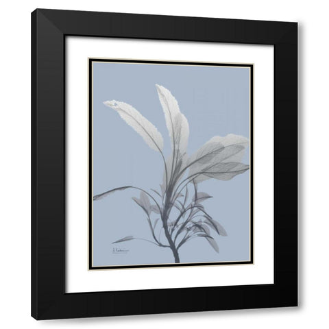 Skyway Sage Black Modern Wood Framed Art Print with Double Matting by Koetsier, Albert