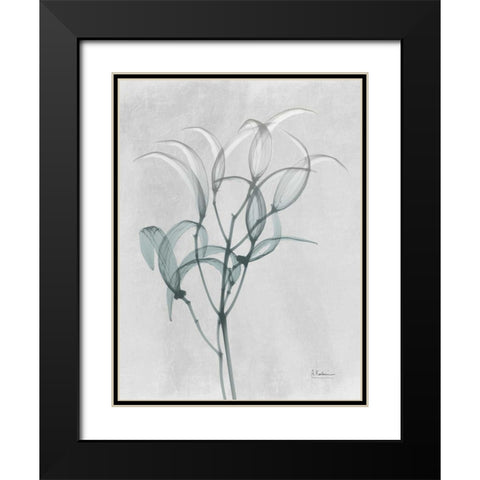 Emerald Oleander Bush Black Modern Wood Framed Art Print with Double Matting by Koetsier, Albert