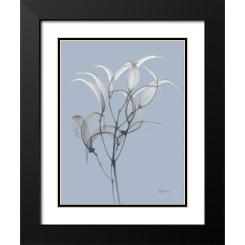 Skyway Oleander Bush Black Modern Wood Framed Art Print with Double Matting by Koetsier, Albert