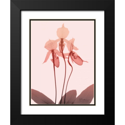 Furiosa Orchid Black Modern Wood Framed Art Print with Double Matting by Koetsier, Albert