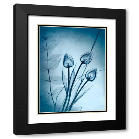 Cerulean Dawn Black Modern Wood Framed Art Print with Double Matting by Koetsier, Albert