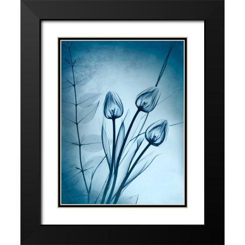 Cerulean Dawn Black Modern Wood Framed Art Print with Double Matting by Koetsier, Albert