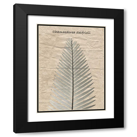 Chamaedorea Illustration Black Modern Wood Framed Art Print with Double Matting by Koetsier, Albert